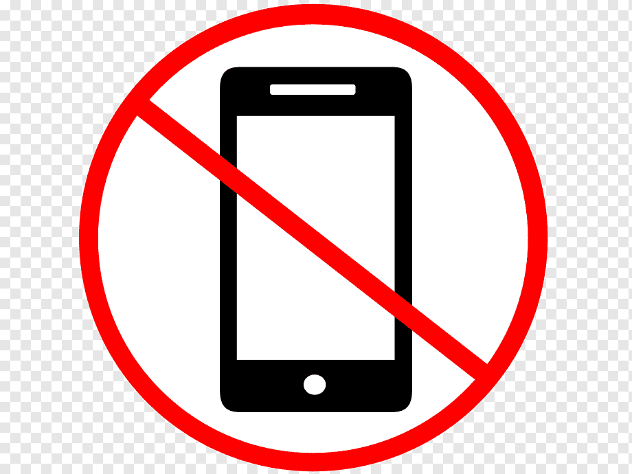 Запрет на использование обучающимися мобильных телефонов во время учебных занятий в школах.